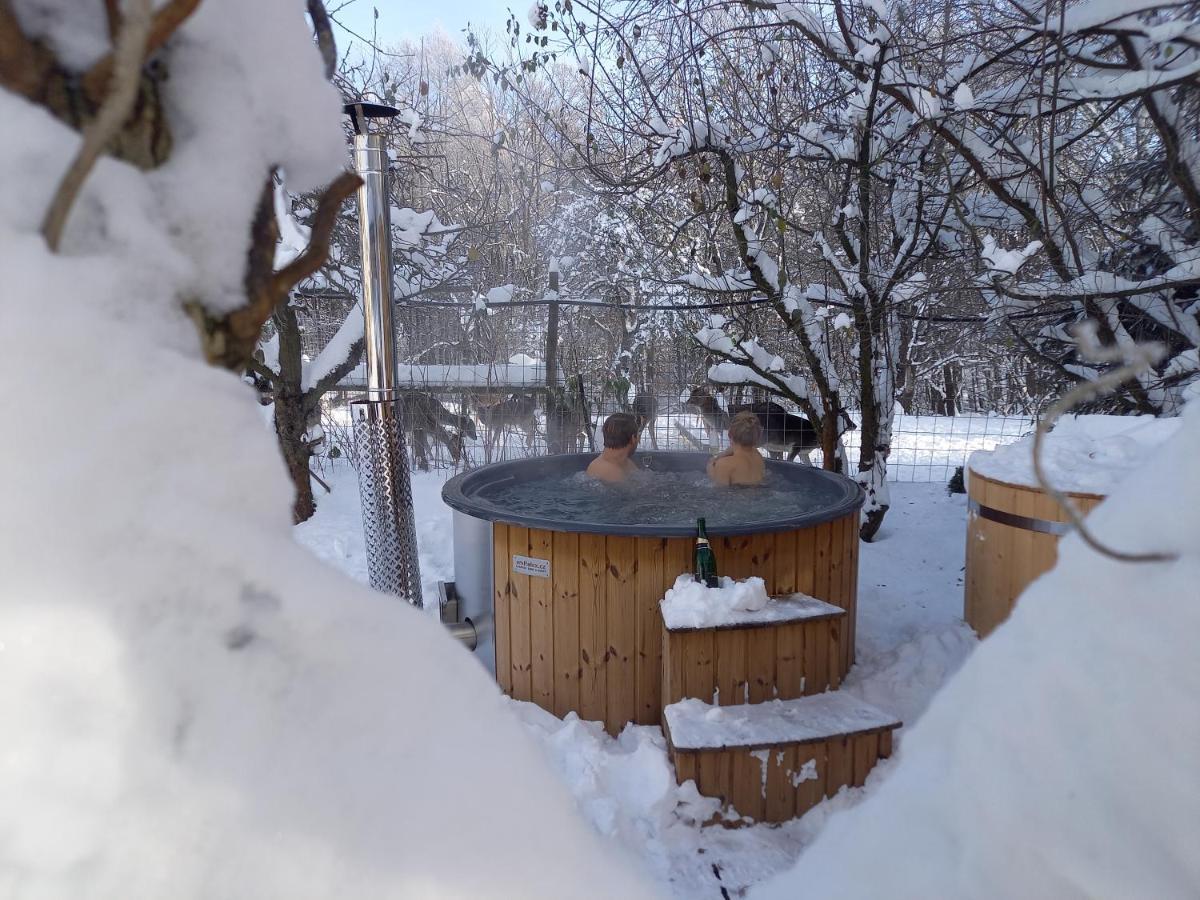 Wellness Vejminek Na Farme U Koni